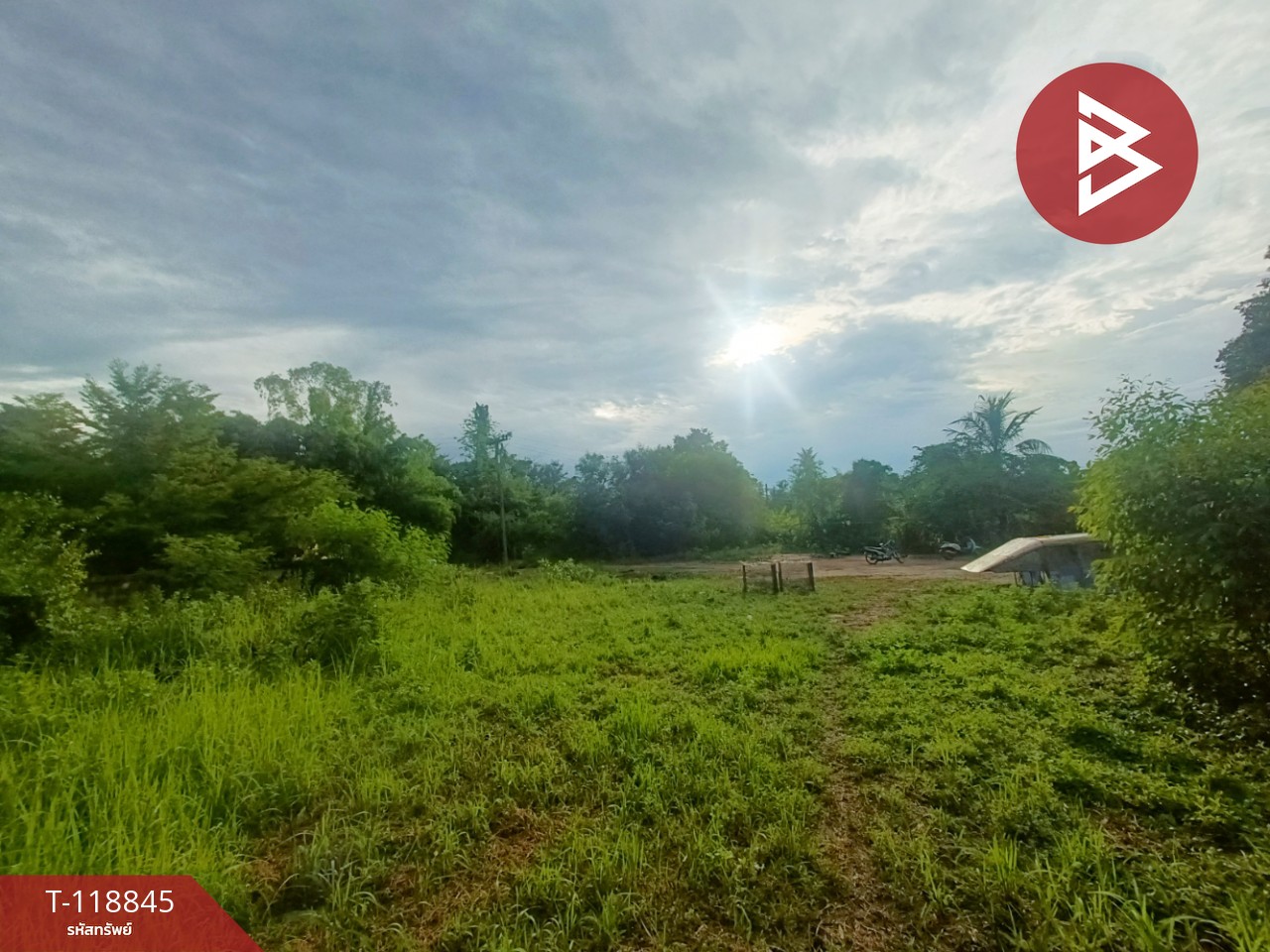 ขายที่ดิน เนื้อที่ 1 ไร่ 2 งาน 33 ตารางวา อ.พนมสารคาม ฉะเชิงเทรา 7