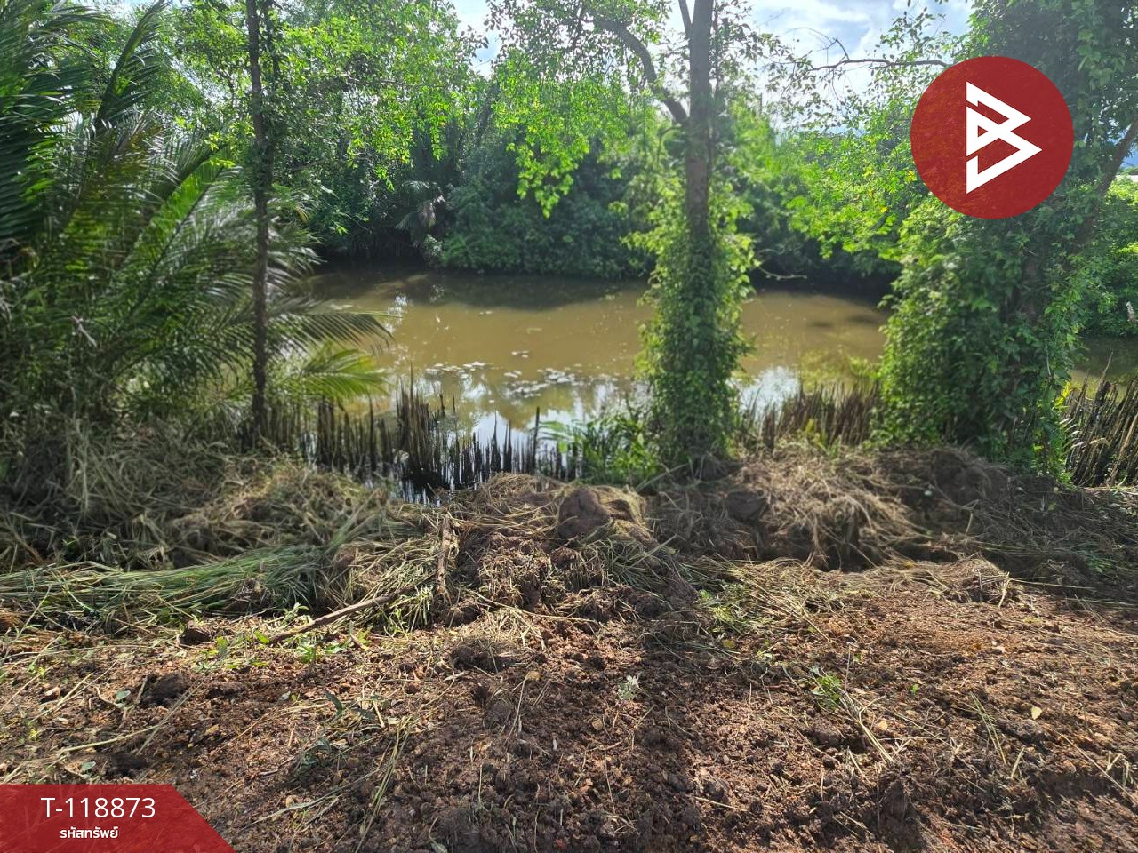 ขายที่ดิน เนื้อที่ 3 งาน 15 ตร.วา ติดคลอง เกาะขวาง จันทบุรี 7