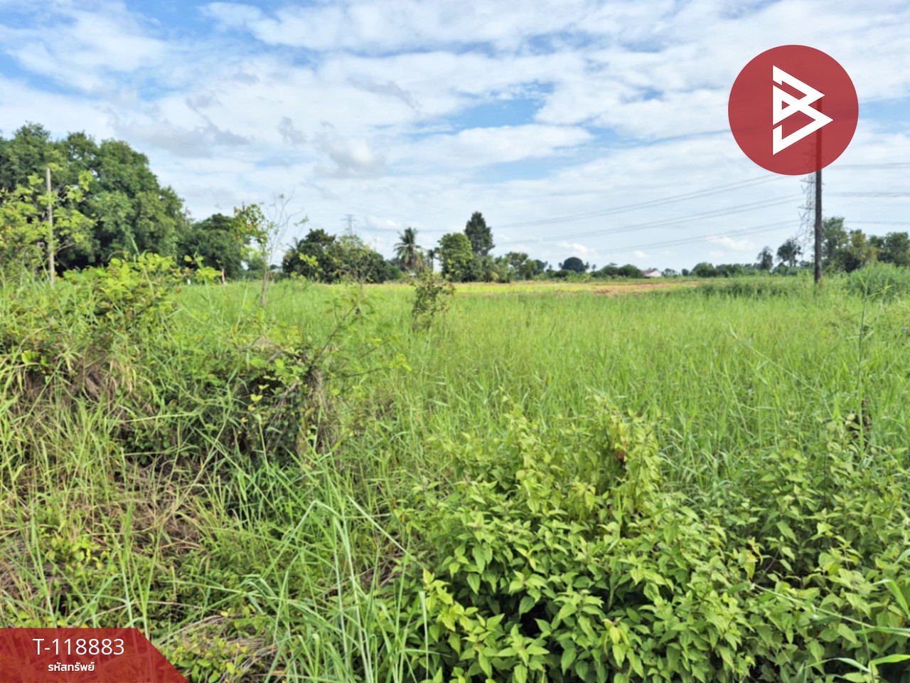 ขายที่ดิน เนื้อที่ 67 ตร.วา สมอแข พิษณุโลก 2