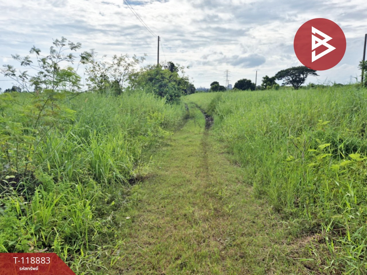 ขายที่ดิน เนื้อที่ 67 ตร.วา สมอแข พิษณุโลก 3