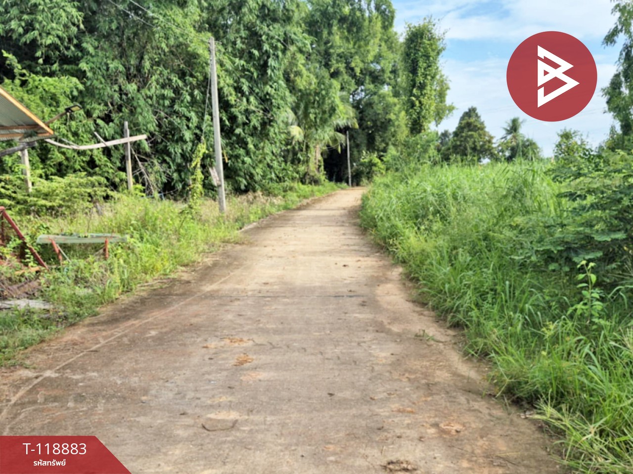 ขายที่ดิน เนื้อที่ 67 ตร.วา สมอแข พิษณุโลก 4