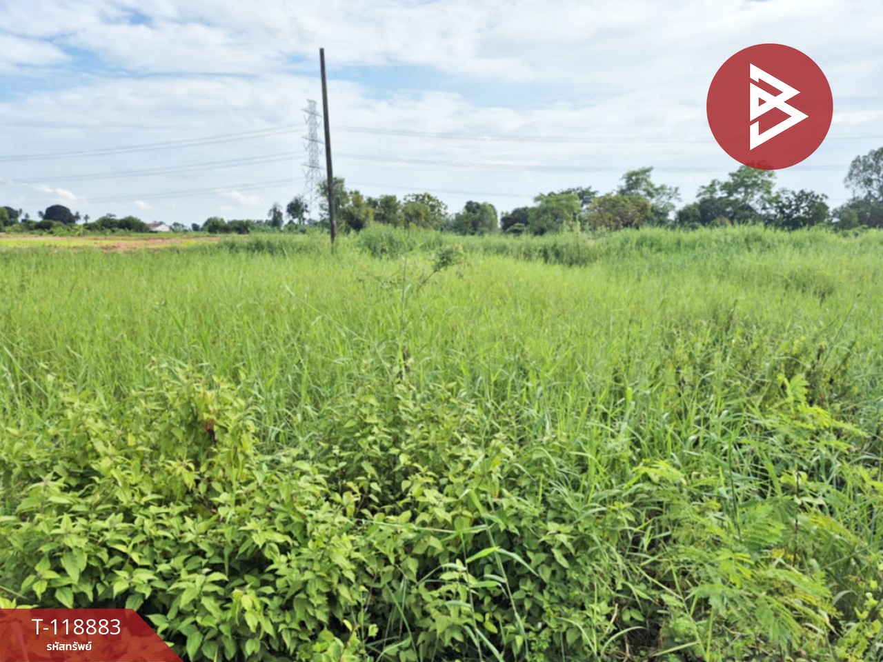 ขายที่ดิน เนื้อที่ 67 ตร.วา สมอแข พิษณุโลก 1