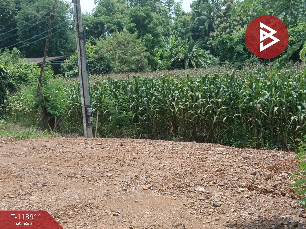 ขายที่ดิน เนื้อที่ 3 ไร่ 1 งาน 54 ตารางวา จ.อุตรดิตถ์ ติดถนนคุ้งตะเภา 6