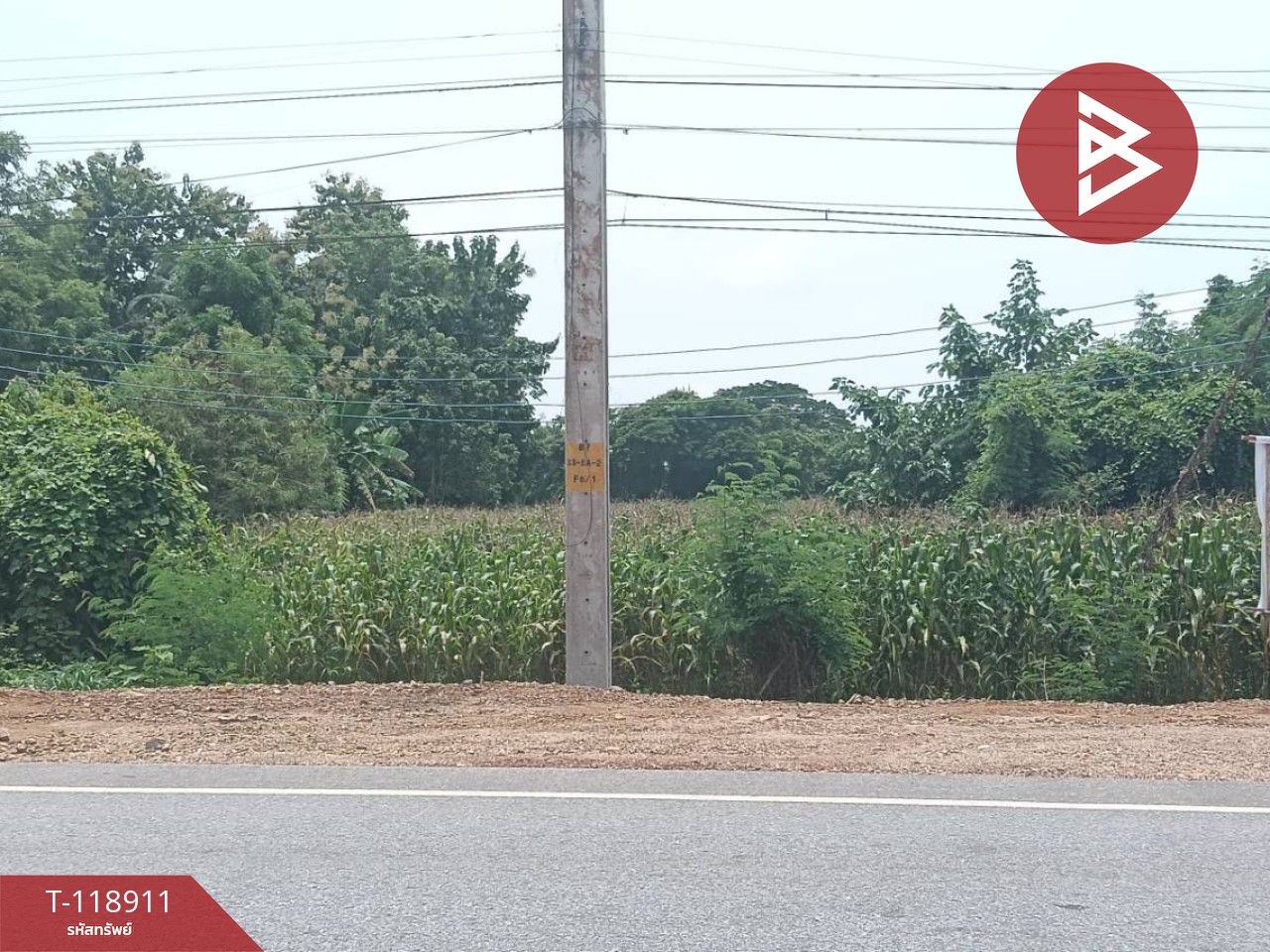 ขายที่ดิน เนื้อที่ 3 ไร่ 1 งาน 54 ตารางวา จ.อุตรดิตถ์ ติดถนนคุ้งตะเภา 8