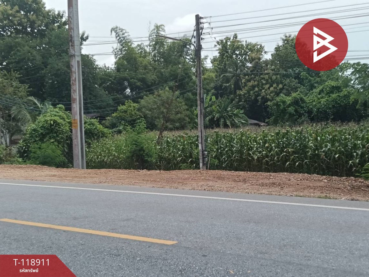 ขายที่ดิน เนื้อที่ 3 ไร่ 1 งาน 54 ตารางวา จ.อุตรดิตถ์ ติดถนนคุ้งตะเภา 13