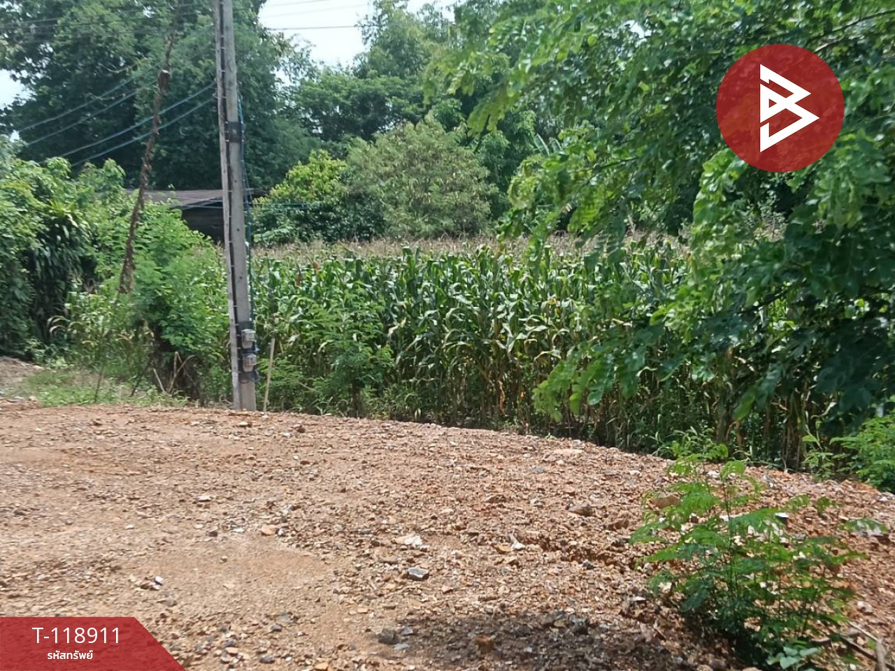 ขายที่ดิน เนื้อที่ 3 ไร่ 1 งาน 54 ตารางวา จ.อุตรดิตถ์ ติดถนนคุ้งตะเภา 12