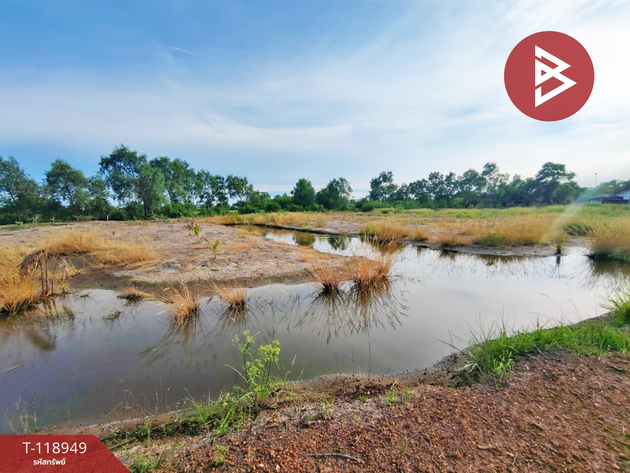 ขายที่ดิน เนื้อที่ 3 งาน 95.3 ตร.วา หน้าเมือง ฉะเชิงเทรา 9