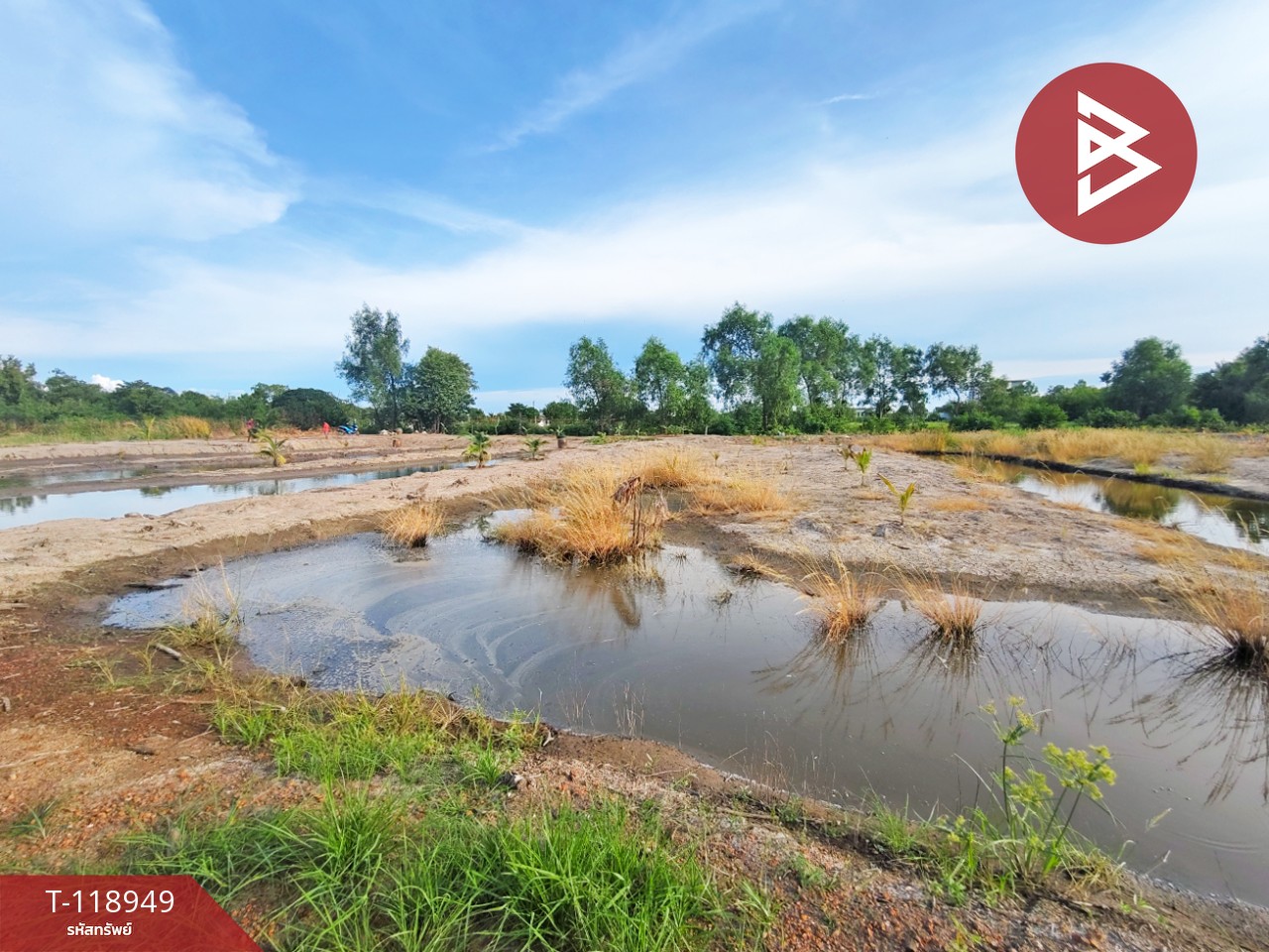 ขายที่ดิน เนื้อที่ 3 งาน 95.3 ตร.วา หน้าเมือง ฉะเชิงเทรา 1