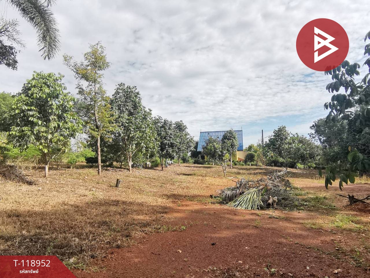 ขายที่ดินพร้อมสิ่งปลูกสร้าง เนื้อที่ 7 ไร่ 2 งาน 13.3 ตารางวา ต.ห้วยแร้ง เมืองตราด 8