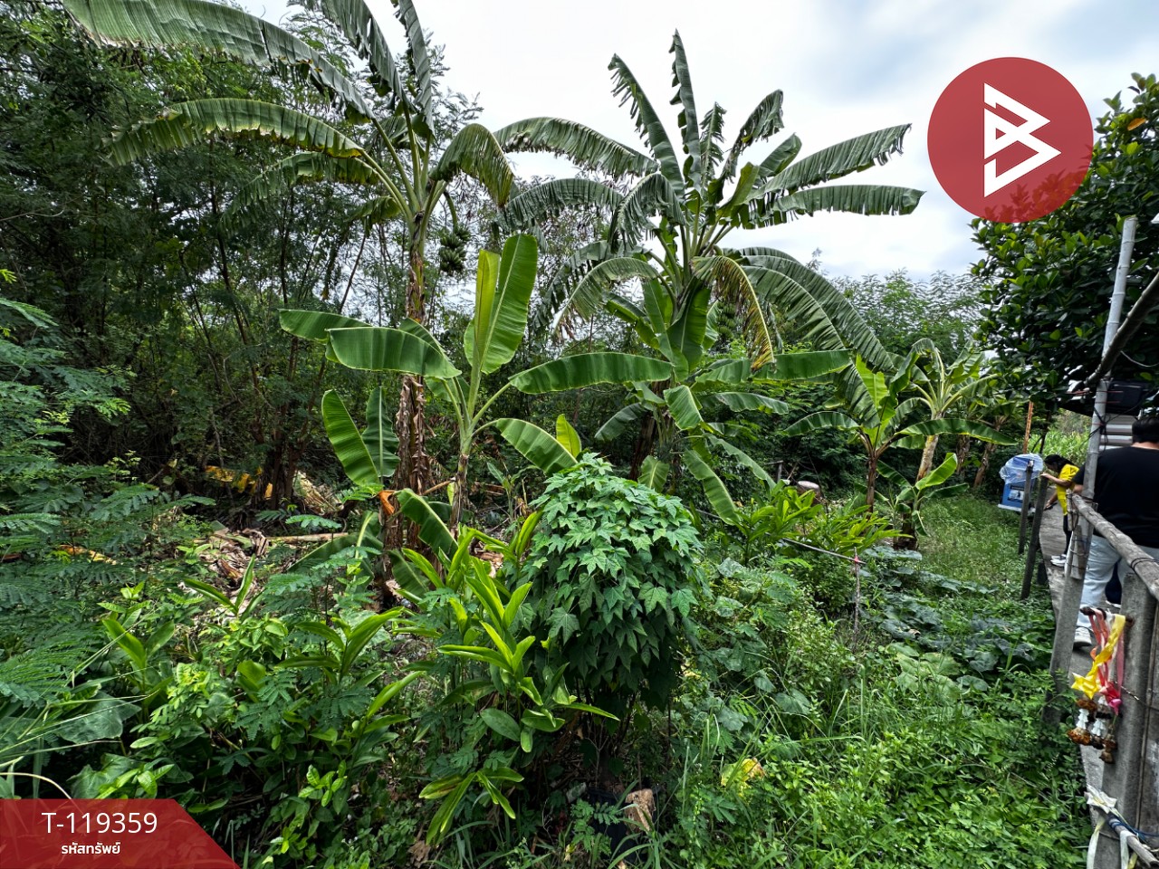 ขายที่ดิน เนื้อที่ 1 ไร่ 1 งาน 28 ตารางวา บางปลา สมุทรปราการ 11