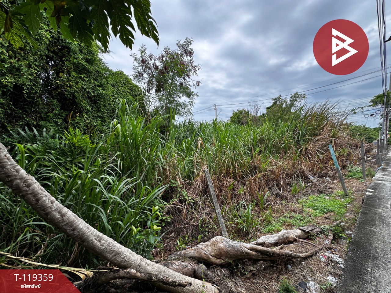 ขายที่ดิน เนื้อที่ 1 ไร่ 1 งาน 28 ตารางวา บางปลา สมุทรปราการ 14