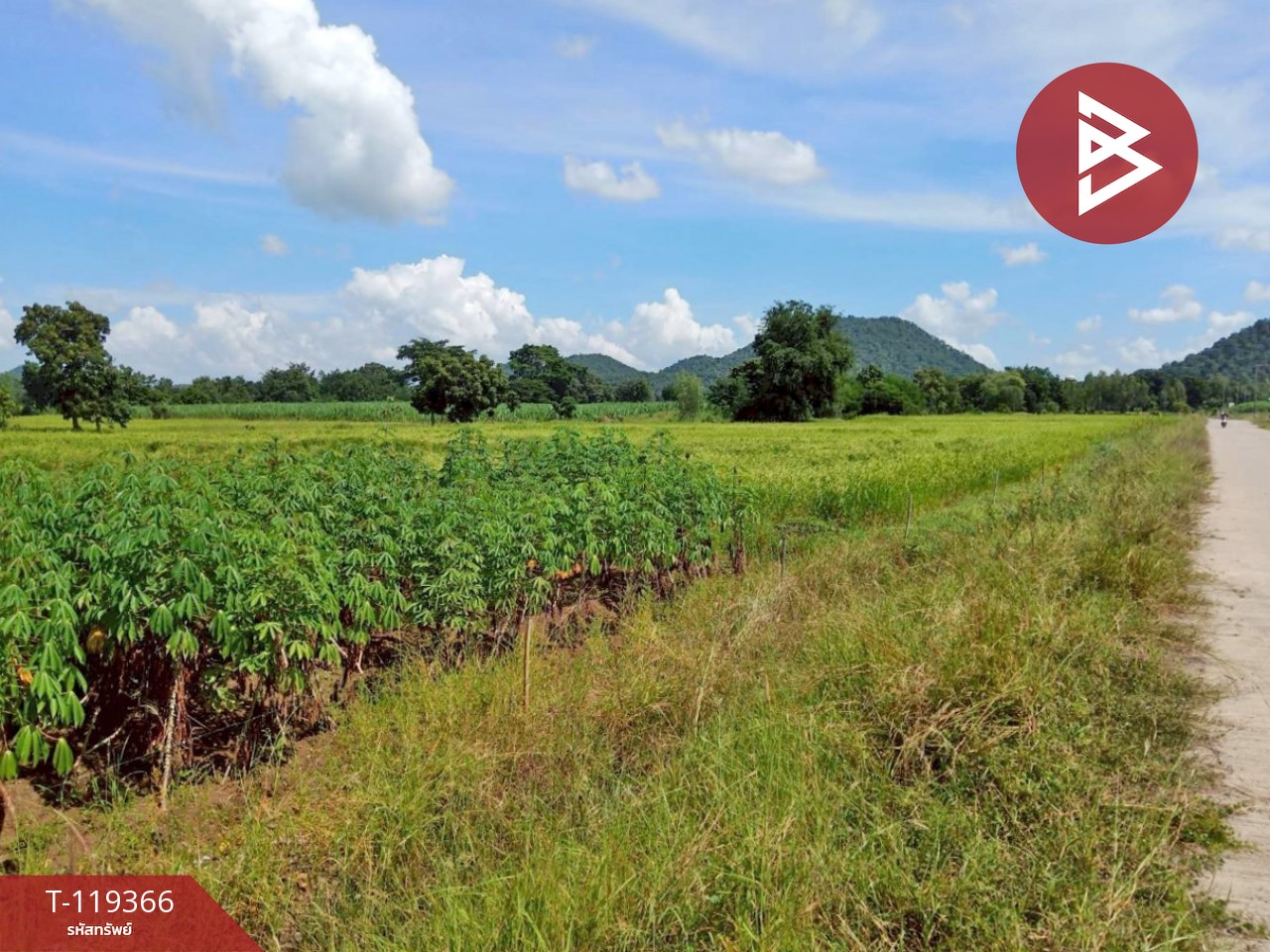 ขายที่ดินเปล่า เนื้อที่ 2 ไร่ 1 งาน 71 ตารางวา พยุหะคีรี นครสวรรค์ ติดถนน 1