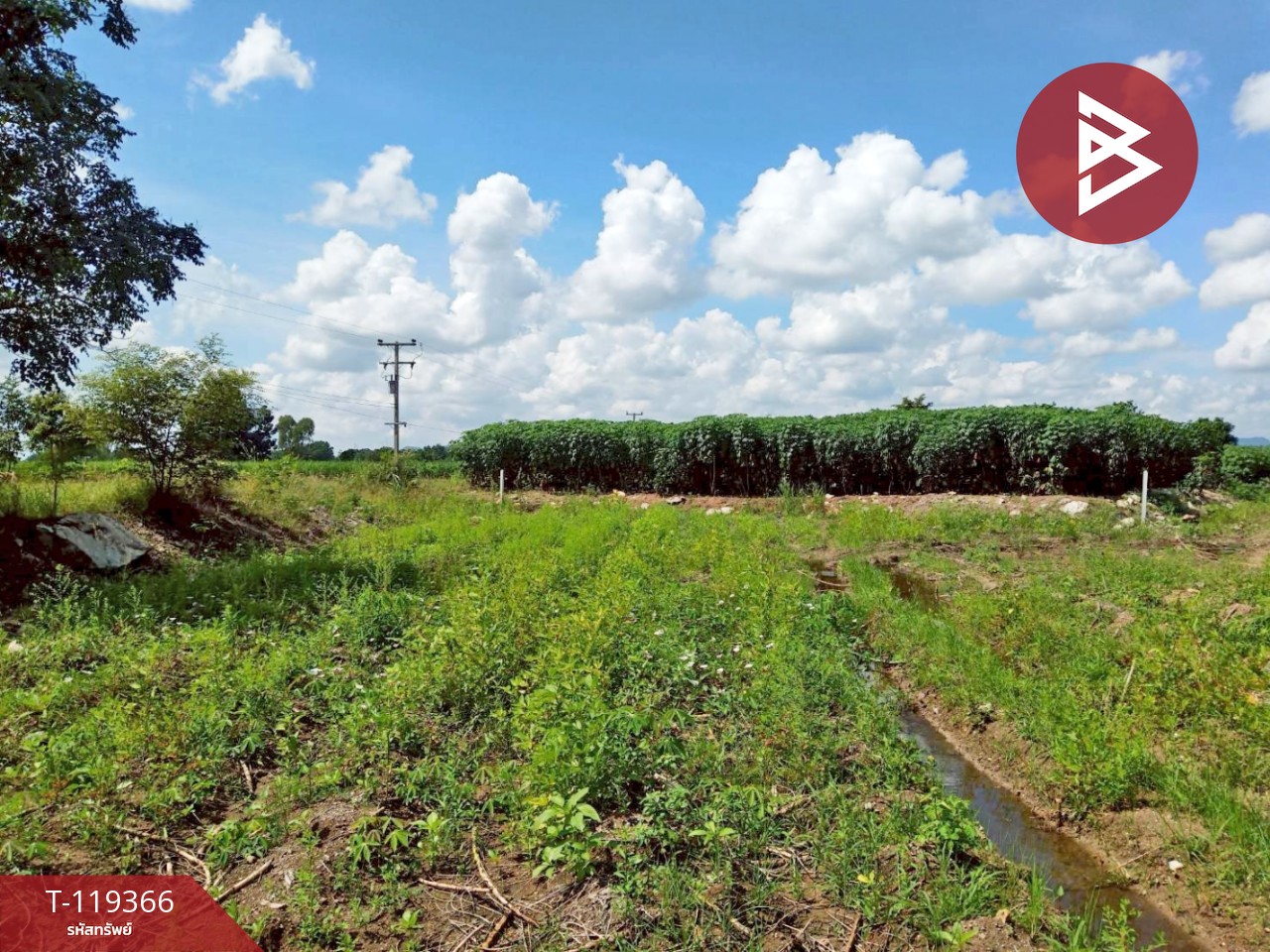 ขายที่ดินเปล่า เนื้อที่ 2 ไร่ 1 งาน 71 ตารางวา พยุหะคีรี นครสวรรค์ ติดถนน 4