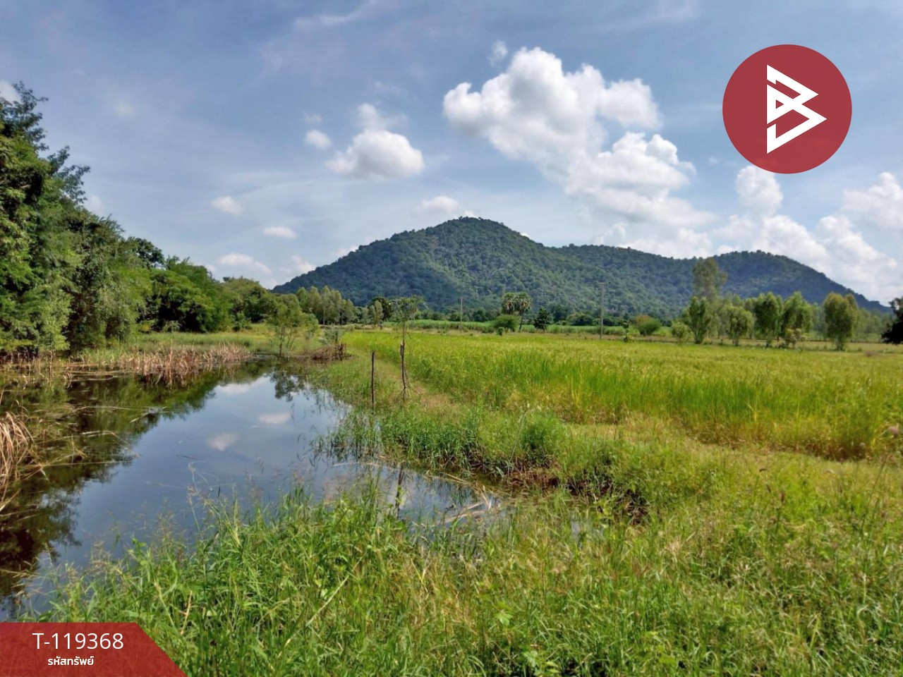 ขายที่ดิน เนื้อที่ 5 ไร่ 75 ตารางวา อ.พยุหะคีรี นครสวรรค์ ทำเลดีติดถนน 1