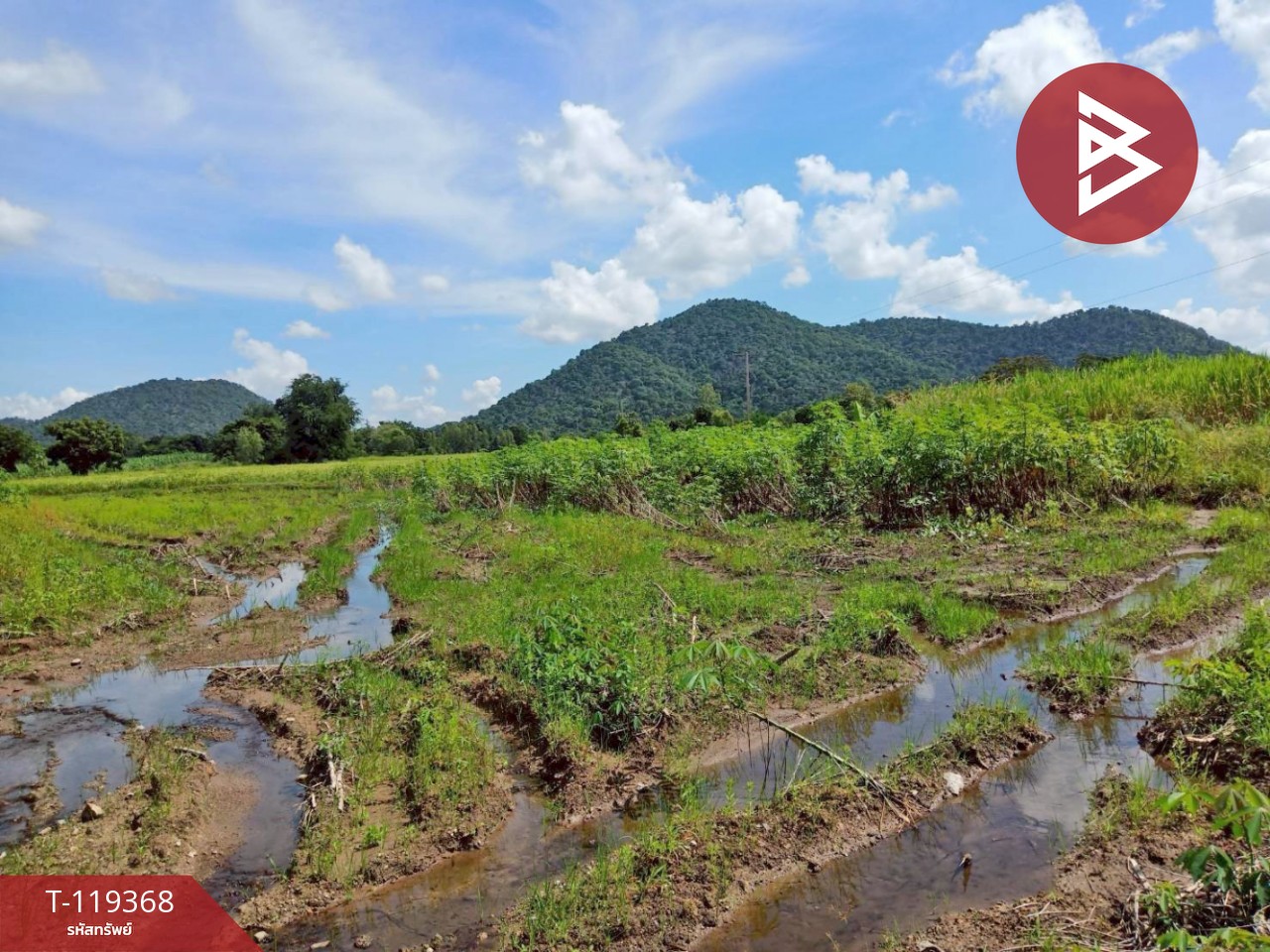 ขายที่ดิน เนื้อที่ 5 ไร่ 75 ตารางวา อ.พยุหะคีรี นครสวรรค์ ทำเลดีติดถนน 3