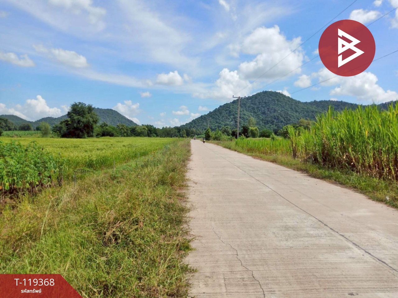 ขายที่ดิน เนื้อที่ 5 ไร่ 75 ตารางวา อ.พยุหะคีรี นครสวรรค์ ทำเลดีติดถนน 2