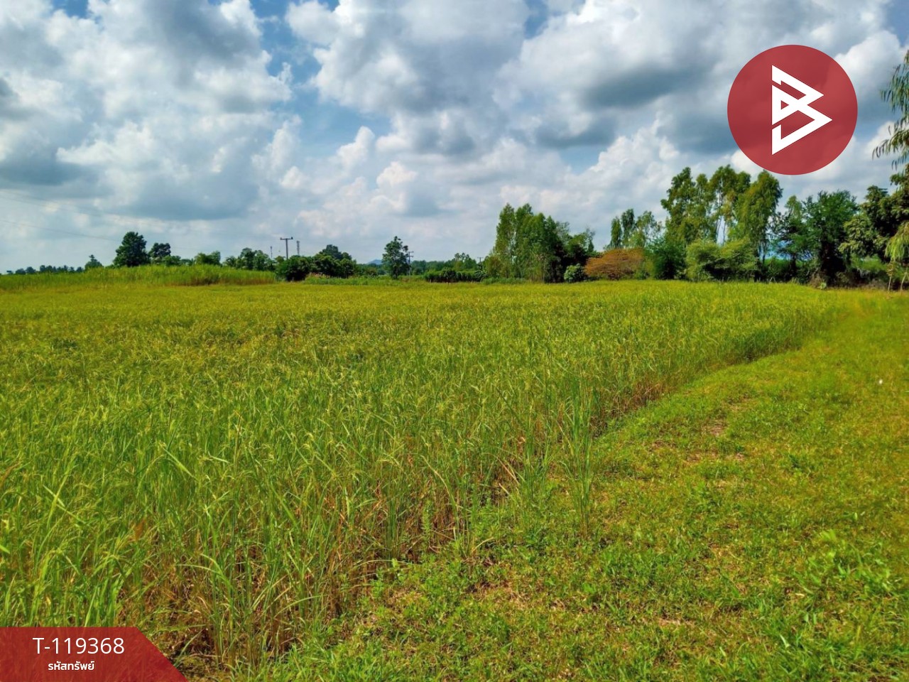 ขายที่ดิน เนื้อที่ 5 ไร่ 75 ตารางวา อ.พยุหะคีรี นครสวรรค์ ทำเลดีติดถนน 4