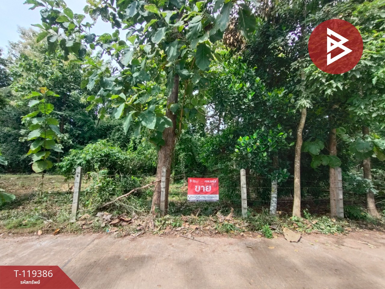 ขายที่ดิน เนื้อที่ 1 ไร่ 39 ตร.วา ลับแล อุตรดิตถ์ 9