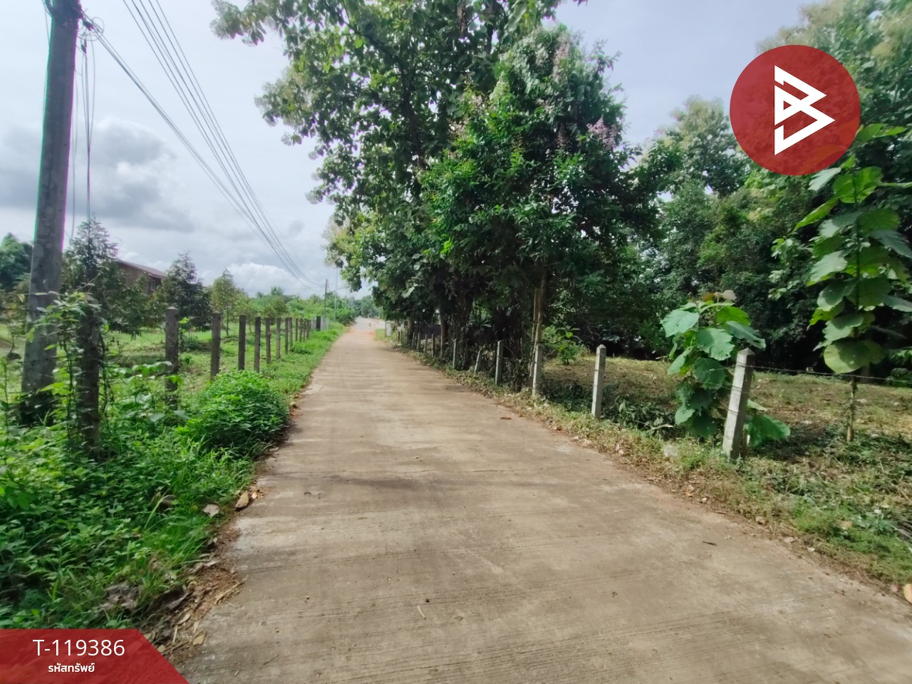 ขายที่ดิน เนื้อที่ 1 ไร่ 39 ตร.วา ลับแล อุตรดิตถ์ 6