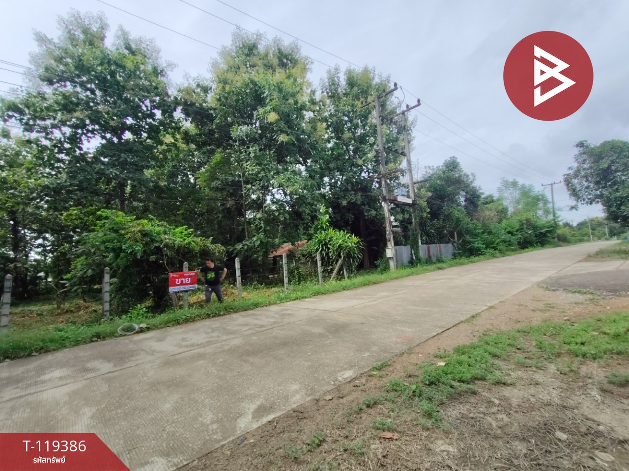 ขายที่ดิน เนื้อที่ 1 ไร่ 39 ตร.วา ลับแล อุตรดิตถ์ 5