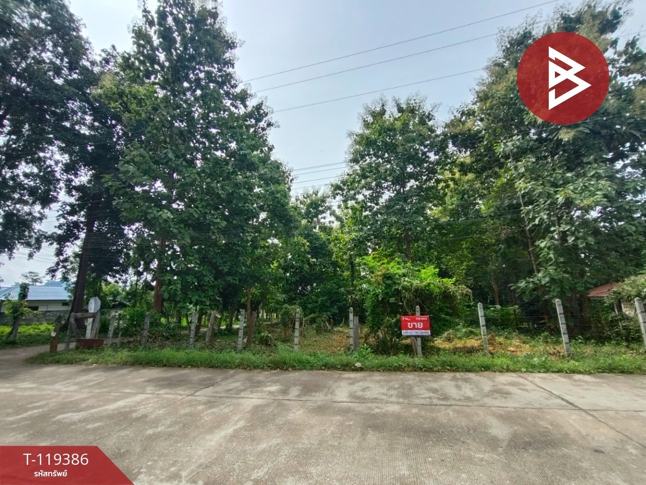 ขายที่ดิน เนื้อที่ 1 ไร่ 39 ตร.วา ลับแล อุตรดิตถ์ 1