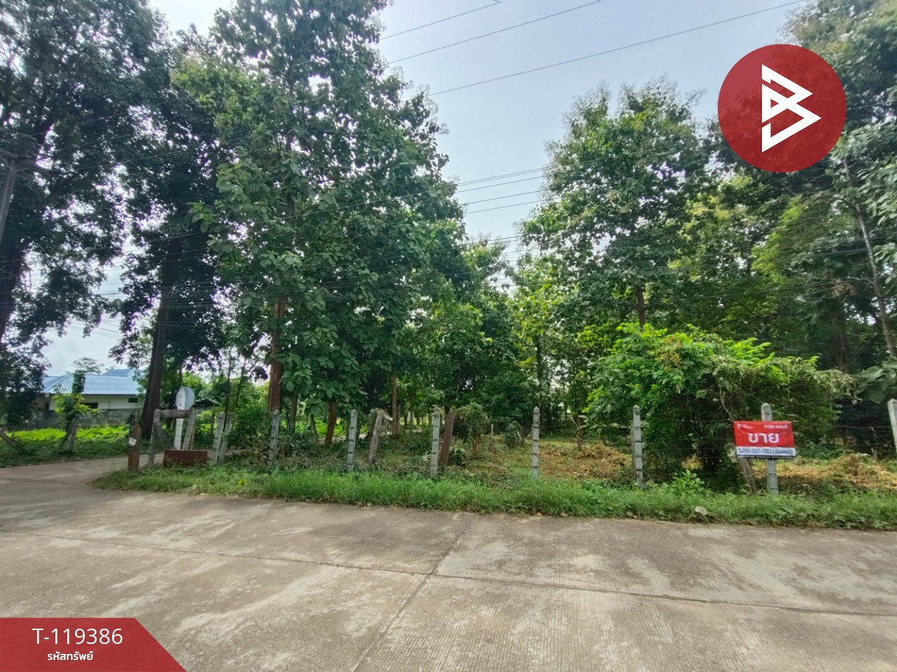 ขายที่ดิน เนื้อที่ 1 ไร่ 39 ตร.วา ลับแล อุตรดิตถ์ 11