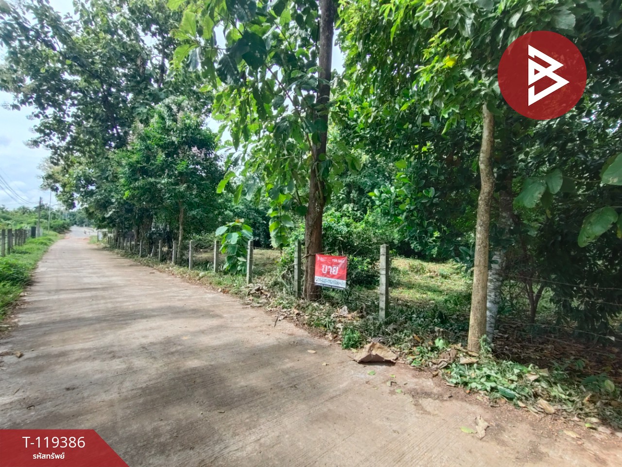 ขายที่ดิน เนื้อที่ 1 ไร่ 39 ตร.วา ลับแล อุตรดิตถ์ 7