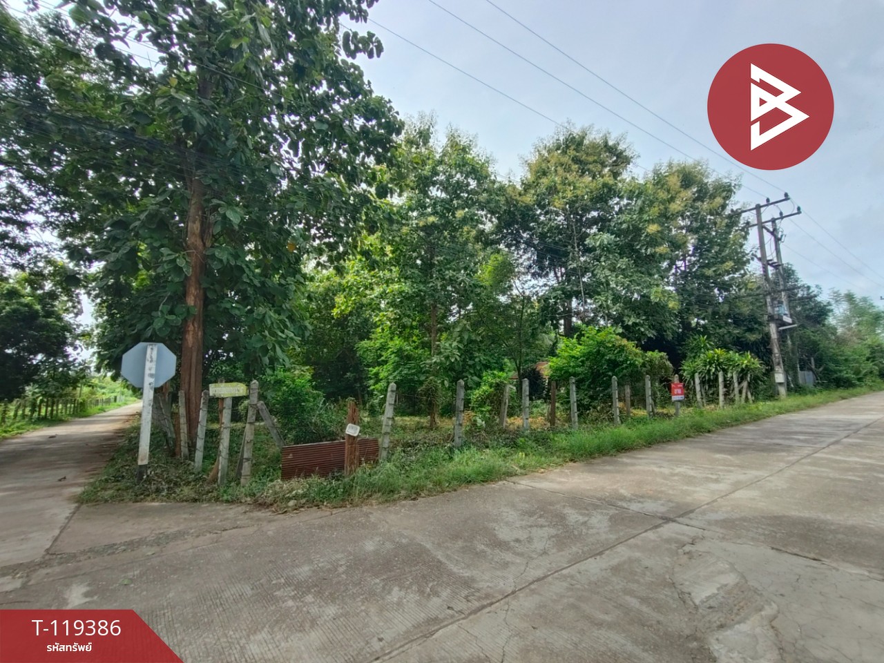 ขายที่ดิน เนื้อที่ 1 ไร่ 39 ตร.วา ลับแล อุตรดิตถ์ 4