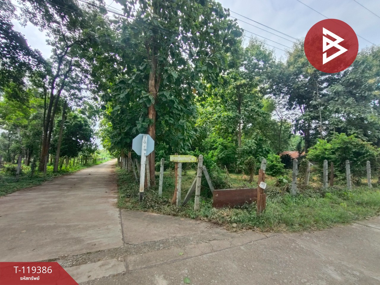 ขายที่ดิน เนื้อที่ 1 ไร่ 39 ตร.วา ลับแล อุตรดิตถ์ 12