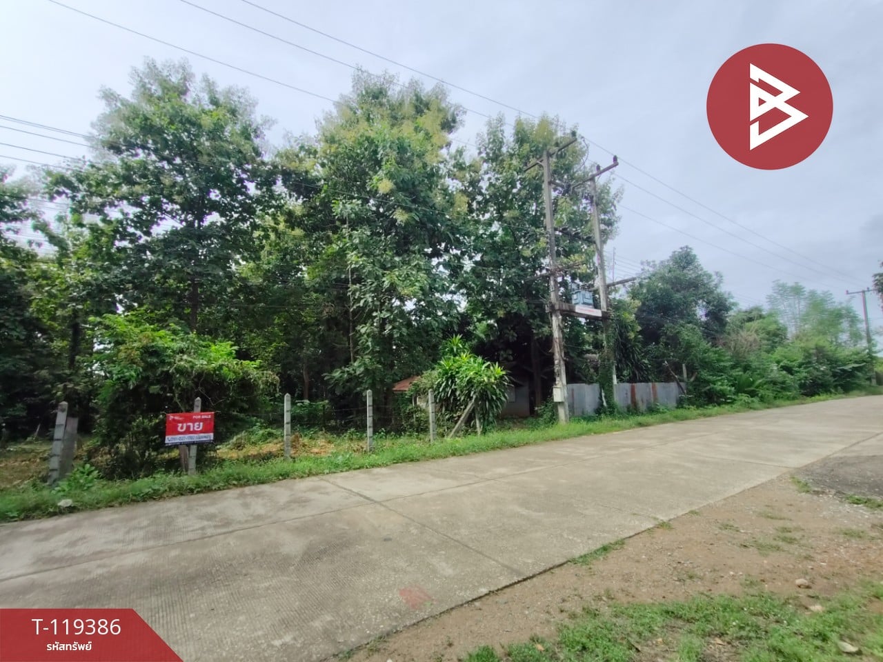 ขายที่ดิน เนื้อที่ 1 ไร่ 39 ตร.วา ลับแล อุตรดิตถ์ 2