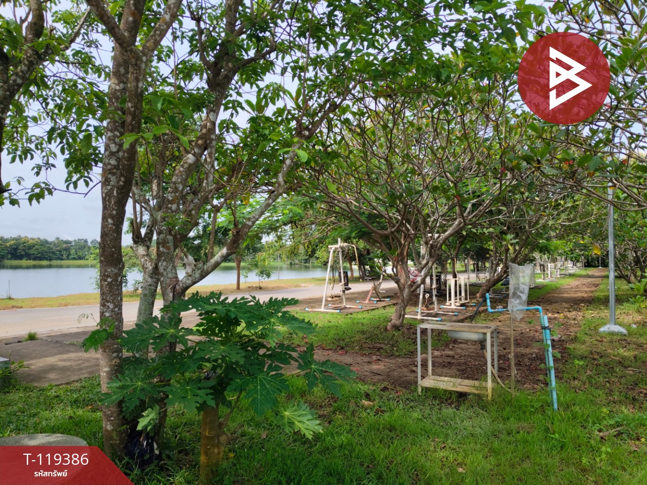 ขายที่ดิน เนื้อที่ 1 ไร่ 39 ตร.วา ลับแล อุตรดิตถ์ 14