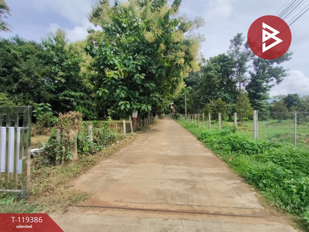 ขายที่ดิน เนื้อที่ 1 ไร่ 39 ตร.วา ลับแล อุตรดิตถ์ 8