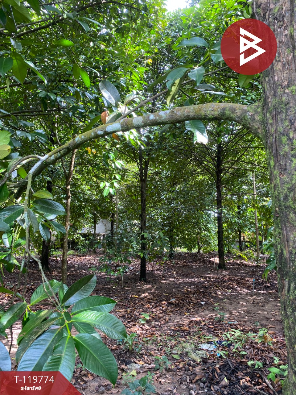 Property image 8