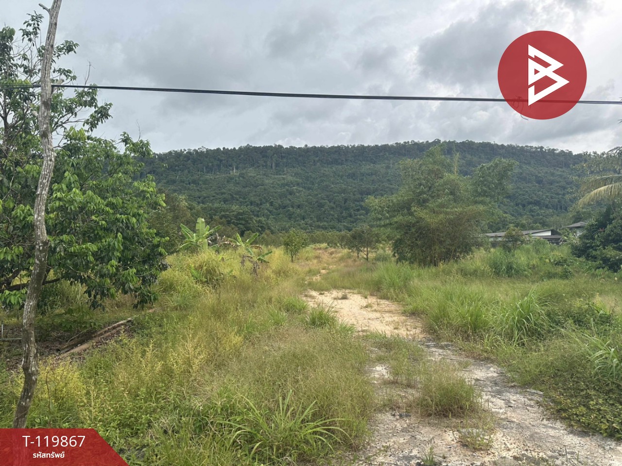 ขายที่ดิน เนื้อที่ 6 ไร่ 15.9 ตร.วา คลองใหญ่ ตราด 3