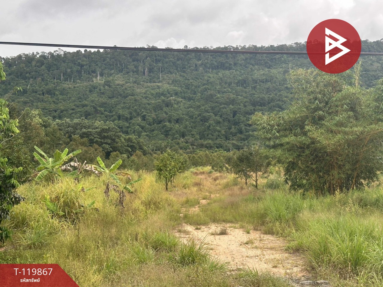 ขายที่ดิน เนื้อที่ 6 ไร่ 15.9 ตร.วา คลองใหญ่ ตราด 4