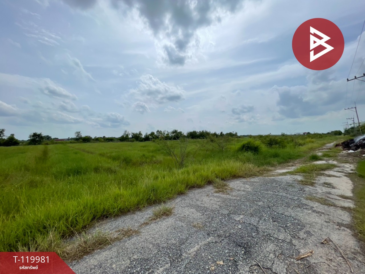 ขายที่ดิน เนื้อที่ 4 ไร่ 56 ตร.วา องครักษ์ นครนายก 2