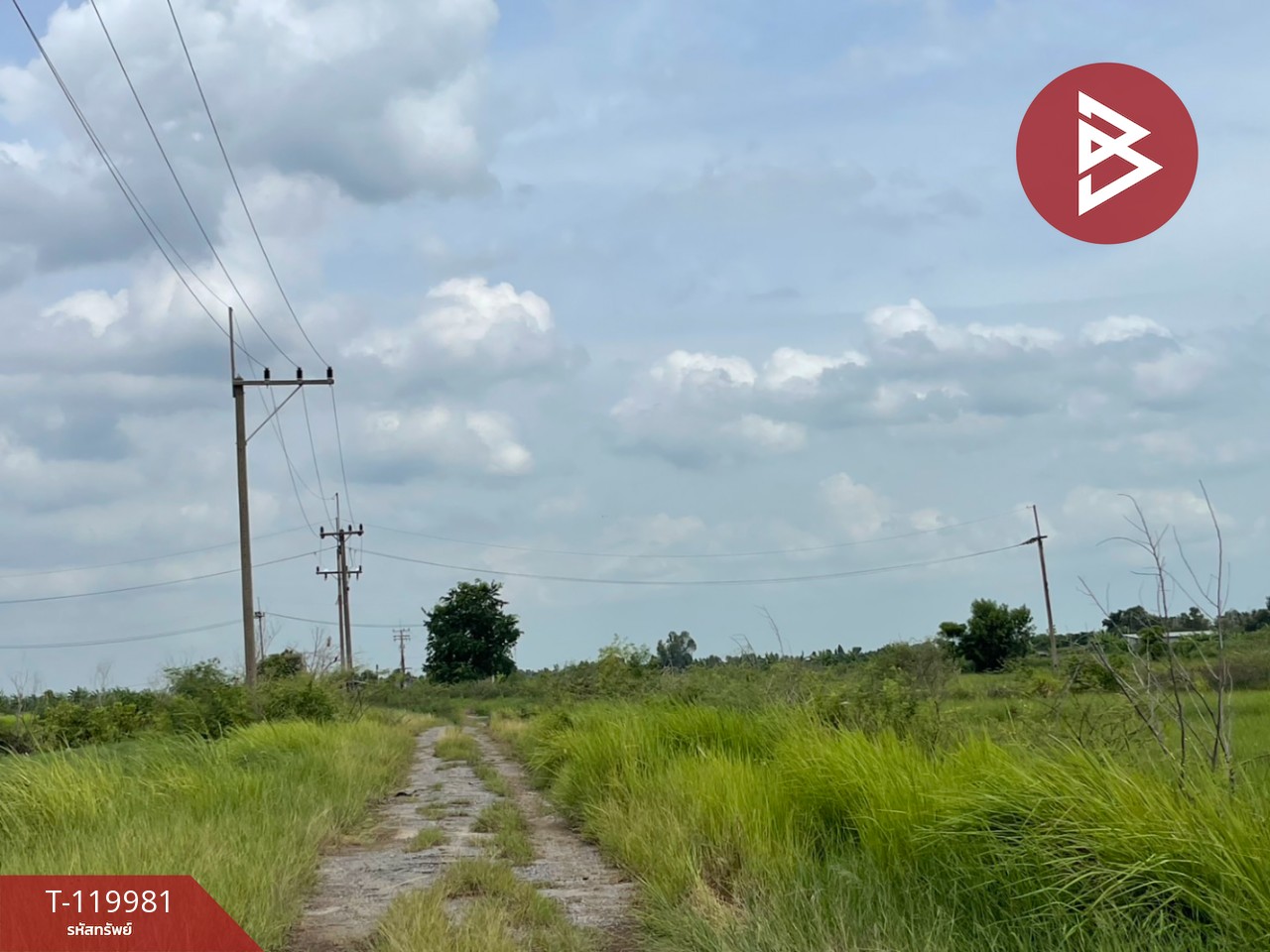 ขายที่ดิน เนื้อที่ 4 ไร่ 56 ตร.วา องครักษ์ นครนายก 5