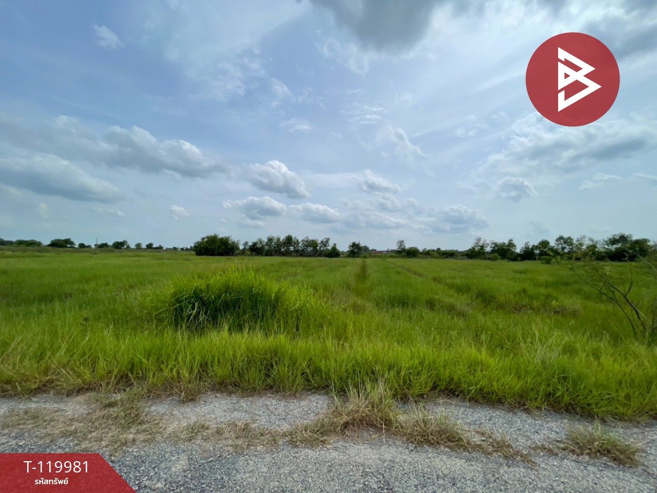 ขายที่ดิน เนื้อที่ 4 ไร่ 56 ตร.วา องครักษ์ นครนายก 7