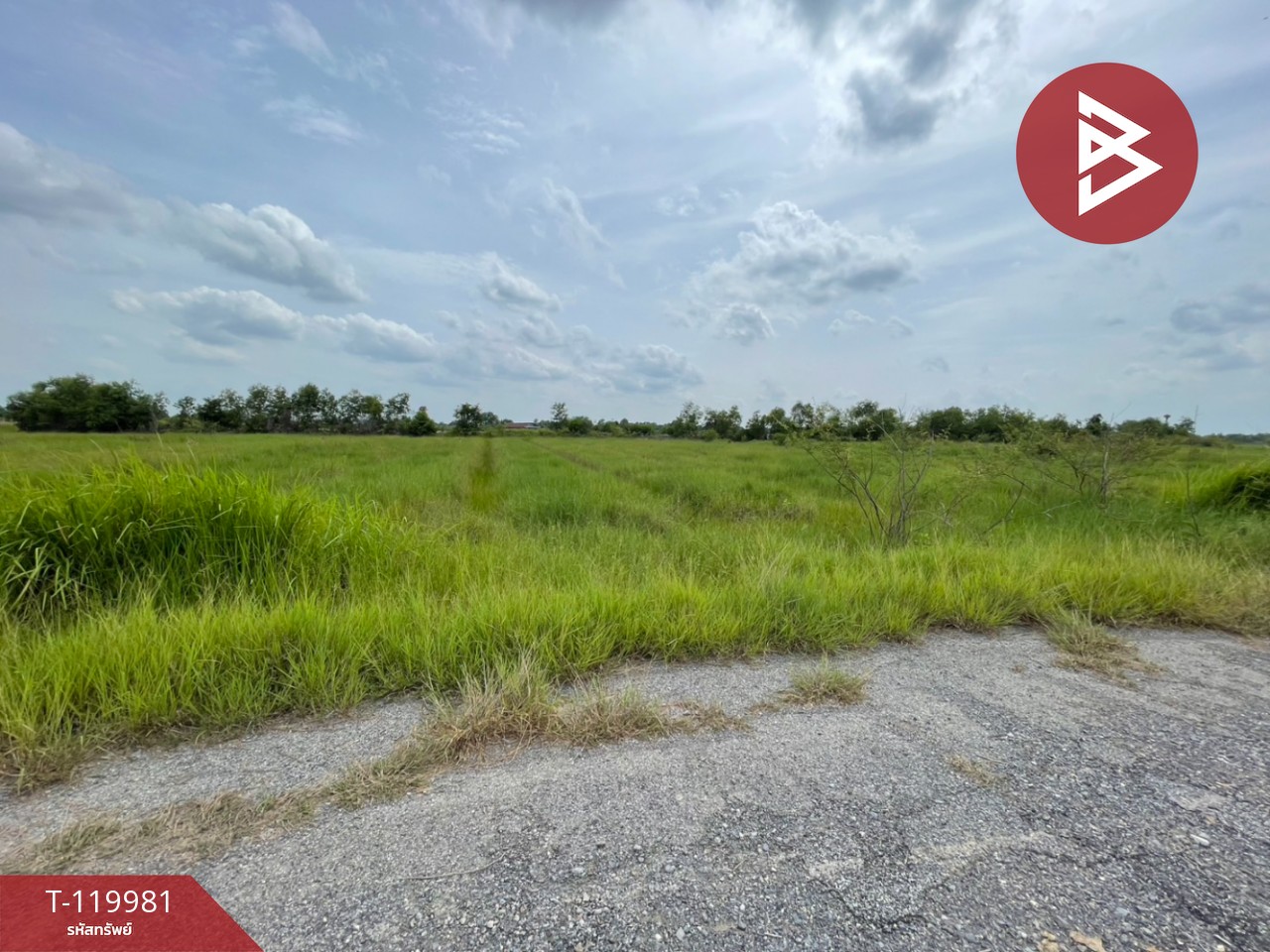 ขายที่ดิน เนื้อที่ 4 ไร่ 56 ตร.วา องครักษ์ นครนายก 6