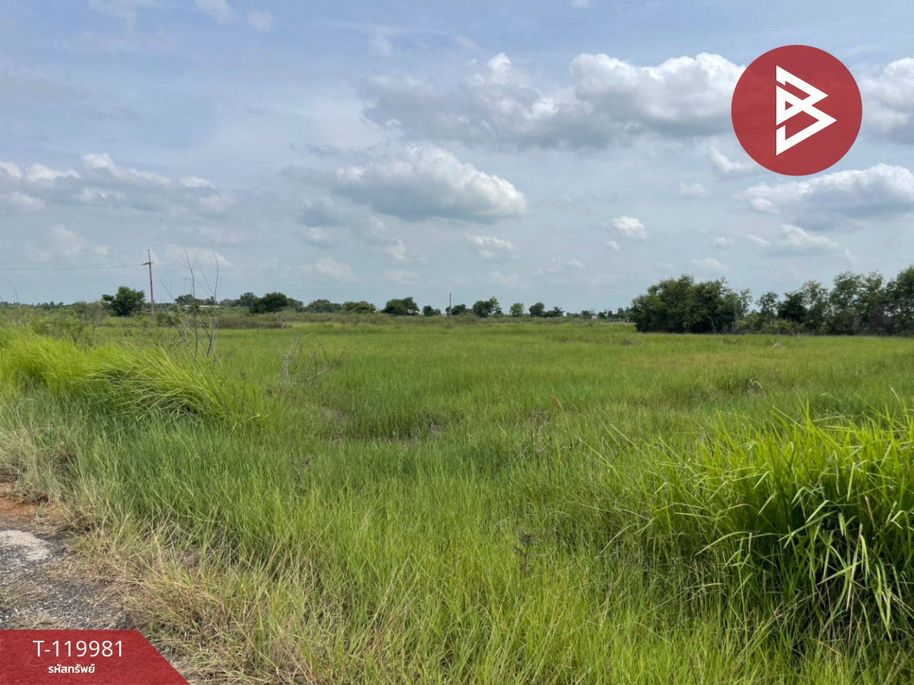 ขายที่ดิน เนื้อที่ 4 ไร่ 56 ตร.วา องครักษ์ นครนายก 3