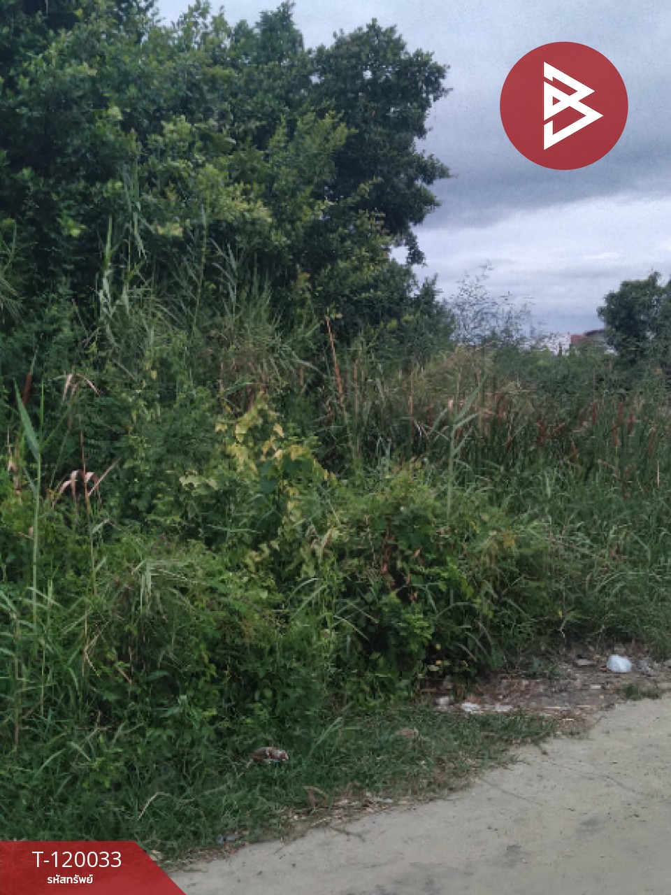 ขายที่ดิน เนื้อที่ 3 งาน 95 ตร.วา หนองแขม กรุงเทพมหานคร 1