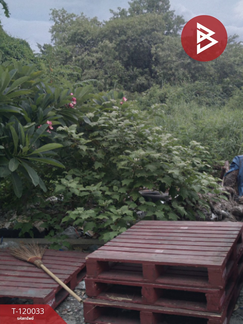 ขายที่ดิน เนื้อที่ 3 งาน 95 ตร.วา หนองแขม กรุงเทพมหานคร 2