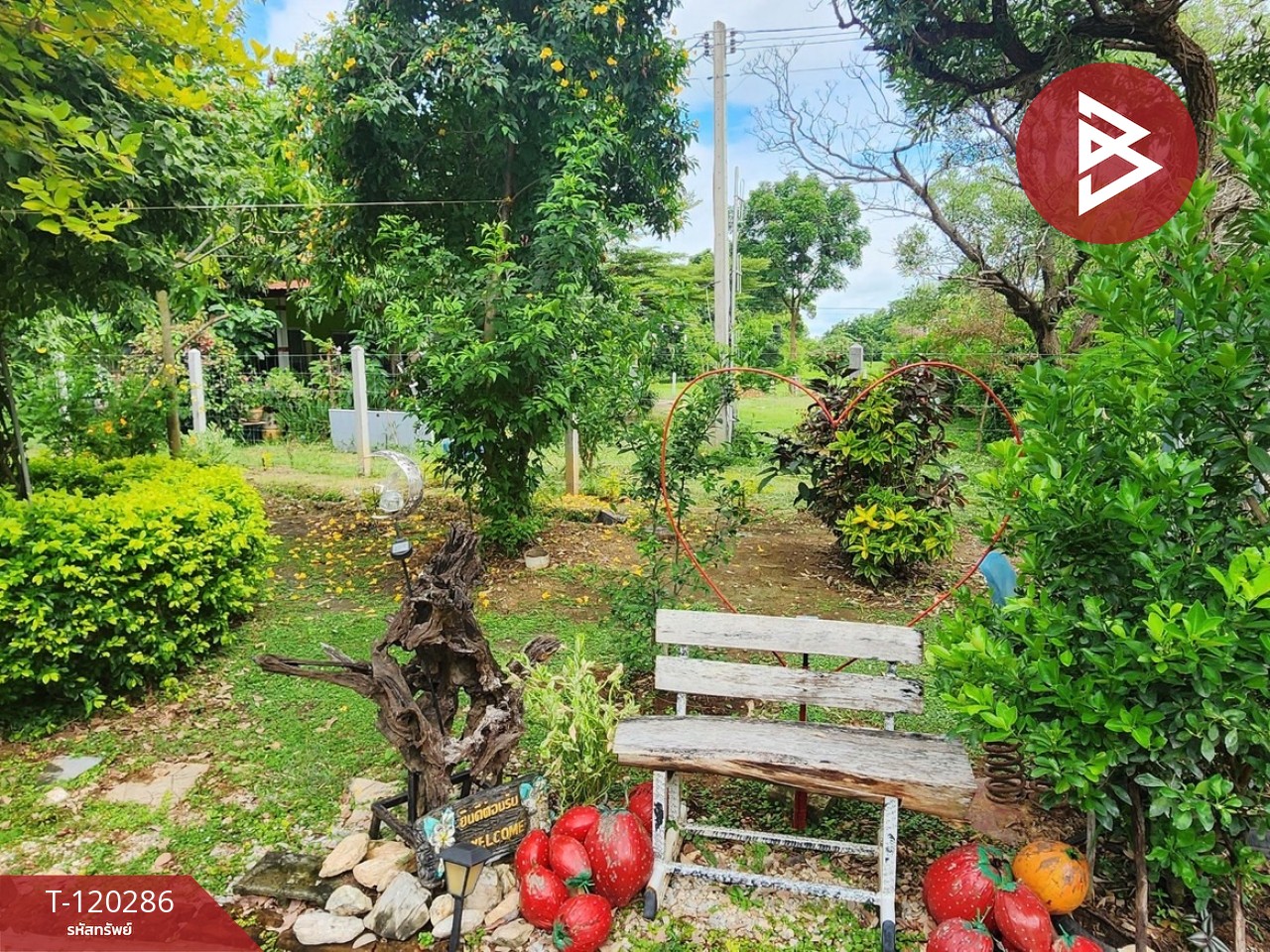 Property image 10