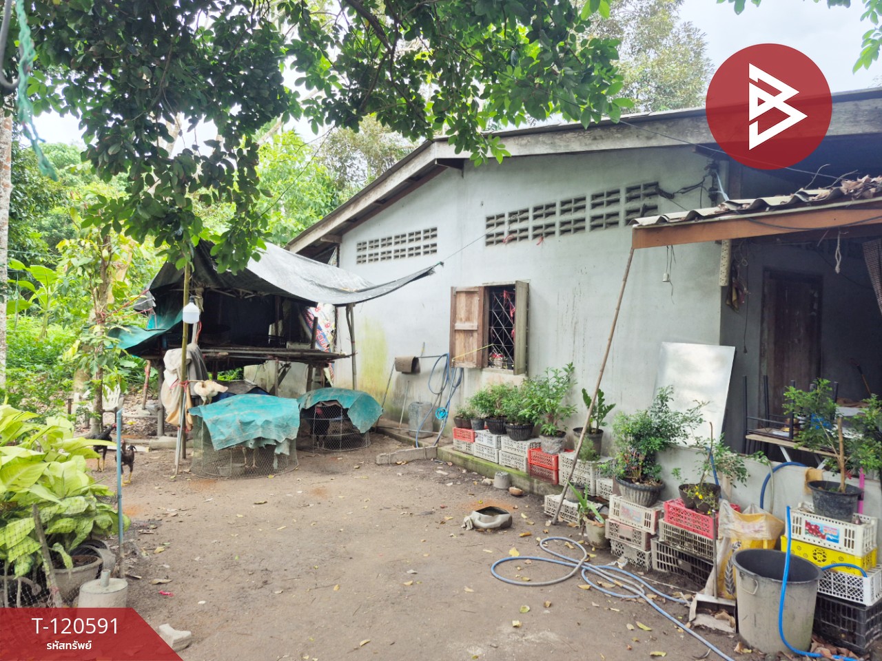 Property image 7