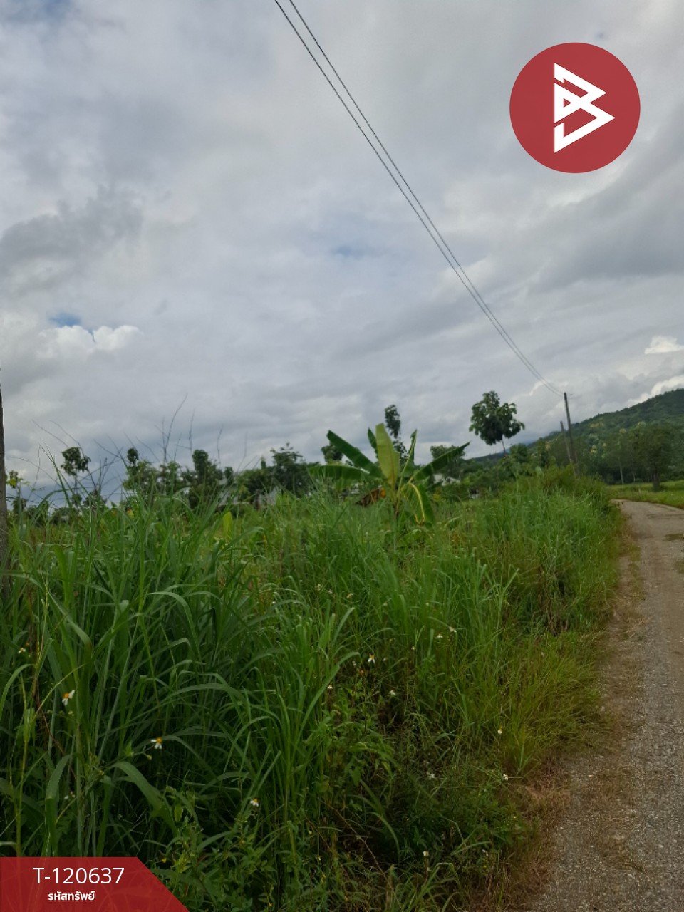 ขายที่ดิน มี 2 แปลง เนื้อที่รวม 4 ไร่ 2 งาน 15 ตร.วา เทิง เชียงราย 5