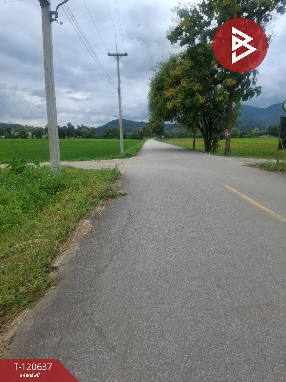 ขายที่ดิน มี 2 แปลง เนื้อที่รวม 4 ไร่ 2 งาน 15 ตร.วา เทิง เชียงราย 7