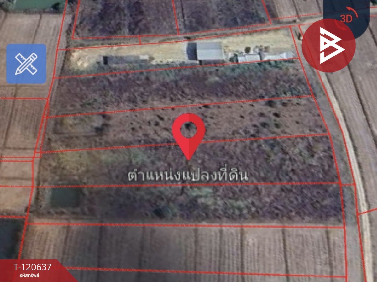 ขายที่ดิน มี 2 แปลง เนื้อที่รวม 4 ไร่ 2 งาน 15 ตร.วา เทิง เชียงราย 11