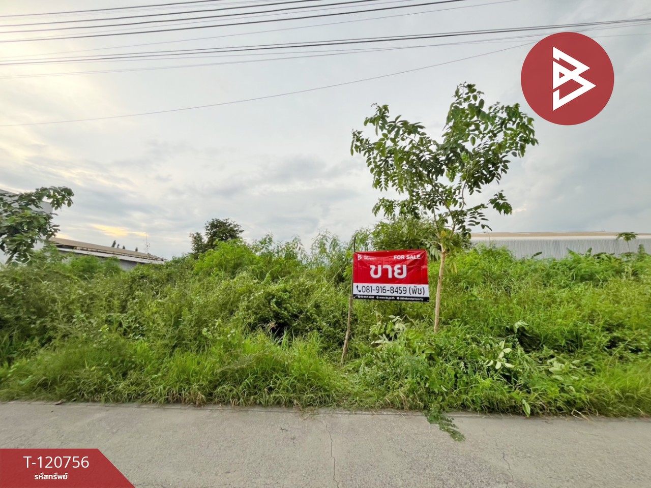 ขายที่ดินเปล่า 6 แปลง ต.เทพารักษ์ อ.เมืองสมุทรปราการ จ.สมุทรปราการ 13