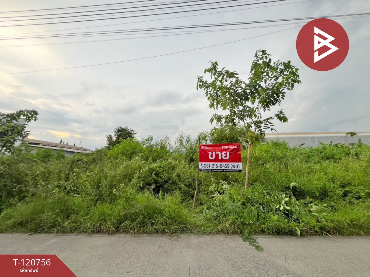 ขายที่ดินเปล่า 6 แปลง ต.เทพารักษ์ อ.เมืองสมุทรปราการ จ.สมุทรปราการ 2