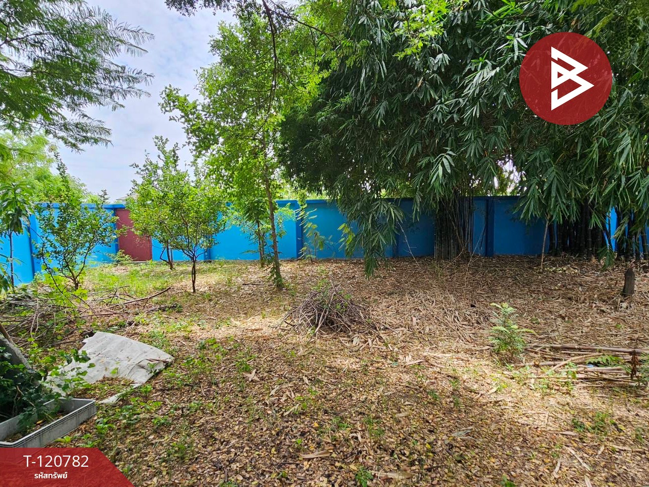 Property image 10